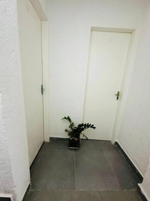 Apartamento Mobiliado E Confortavel Zn - Cod 03 São Paulo